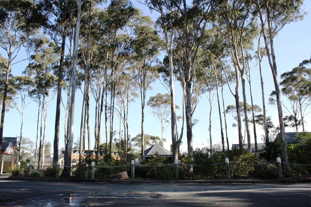 Waverley House Cottages Lakes Entrance Eksteriør billede